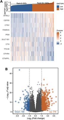 DNTTIP1 is a Prognostic Biomarker Correlated With Immune Infiltrates in Hepatocellular Carcinoma: A Study Based on The Cancer Genome Atlas Data